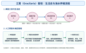 《海水养殖江蓠栽培》