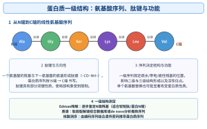 一级结构