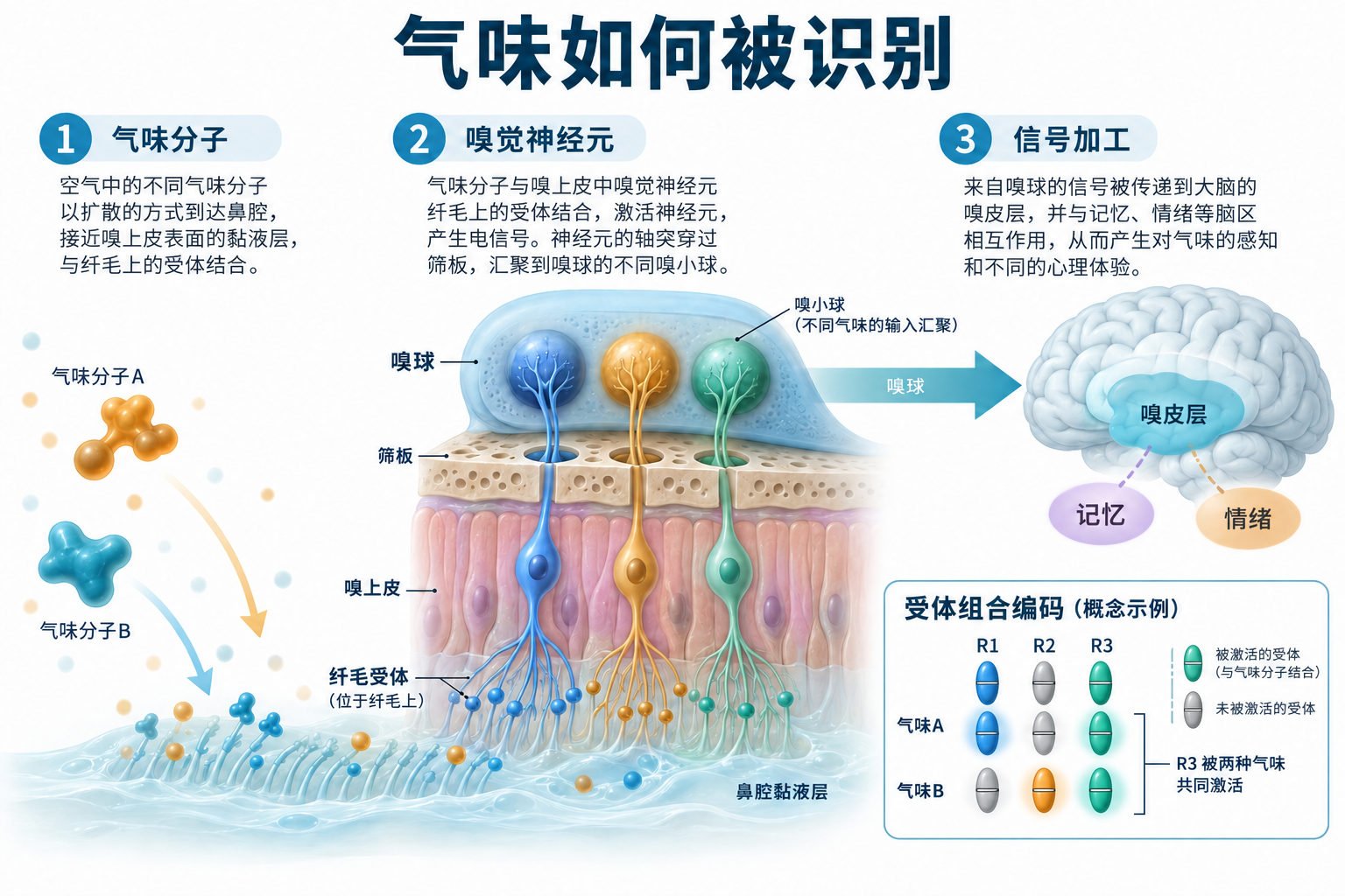 气味识别