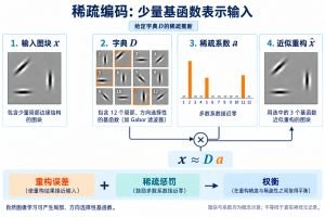 稀疏编码 稀疏编码专业示意图