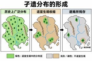 孑遗物种专业示意图