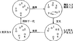 遗传 遗传